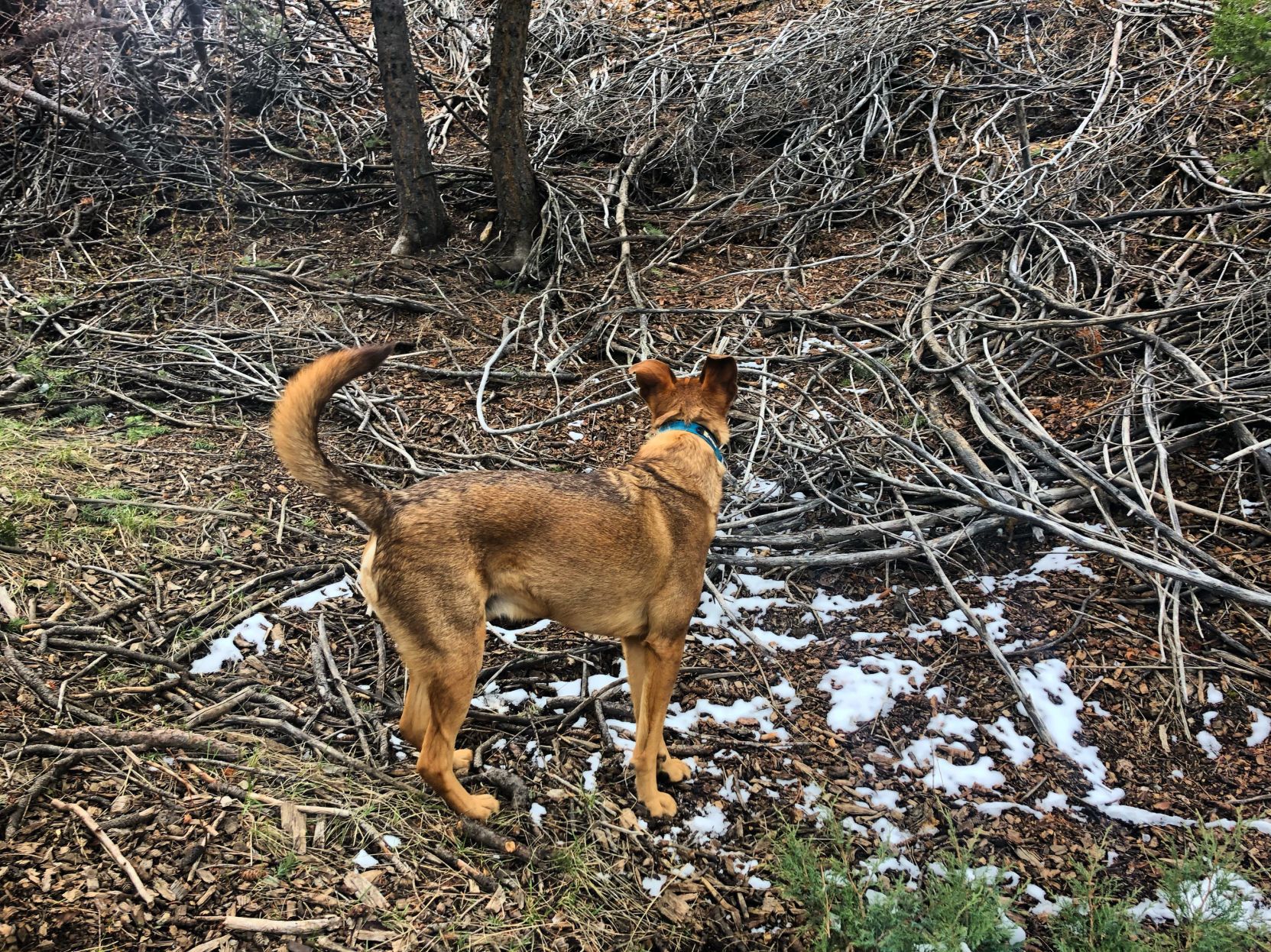 Stick Central